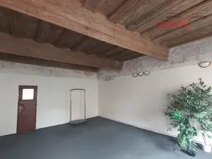 Prodej činžovního domu, Jihlava, Palackého, 490 m2