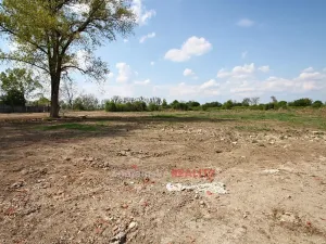 Pronájem komerčního pozemku, Hevlín, 16559 m2