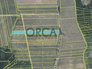 Prodej sadu/vinice, Dolní Kounice, 1926 m2