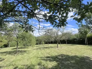 Prodej rodinného domu, Kožušice, 230 m2