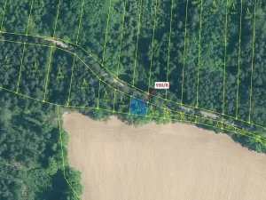 Dražba lesa, Hosty, 140 m2