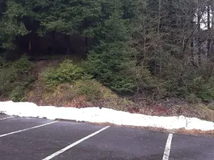 Prodej bytu 2+kk, Harrachov, 48 m2