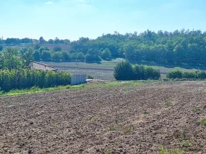 Prodej pozemku pro bydlení, Hrušovany u Brna, Pod Střediskem, 988 m2