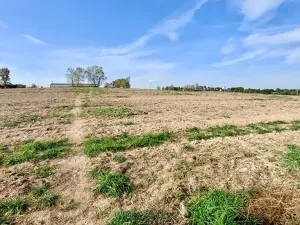 Prodej pozemku pro bydlení, Hrušovany u Brna, Pod Střediskem, 874 m2