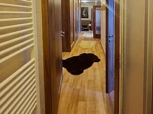 Prodej bytu 2+1, Plzeň, Ořechová, 68 m2