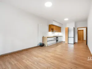 Pronájem bytu 2+kk, Praha, Na Jezerce, 52 m2