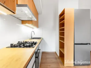 Pronájem bytu 2+kk, Praha - Nusle, Na Jezerce, 52 m2