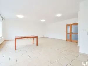 Pronájem rodinného domu, Olomouc, bratří Wolfů, 150 m2