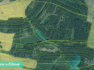 Prodej podílu 1/2 louky, Čížová, 1215 m2