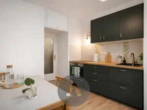 Prodej bytu 2+1, Brno, Tábor, 58 m2