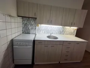 Pronájem bytu 1+1, Olomouc, Jungmannova, 42 m2