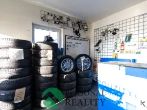 Prodej obchodního prostoru, Králův Dvůr - Levín, 411 m2