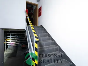 Prodej obchodního prostoru, Králův Dvůr - Levín, 411 m2