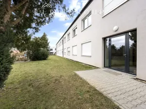 Pronájem bytu 1+kk, Zbýšov, čtvrť Padělky, 29 m2