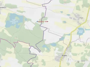 Dražba lesa, Hradiště, 1083 m2