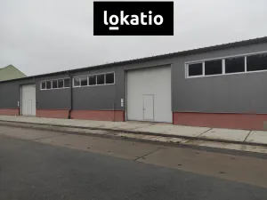 Pronájem skladu, Kralupy nad Vltavou, Trojanova, 1500 m2