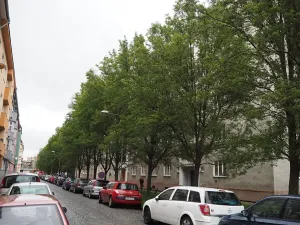 Pronájem bytu 2+kk, Olomouc, Dukelská, 46 m2