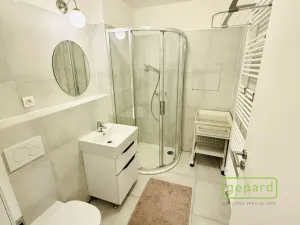 Pronájem bytu 1+kk, Dobřichovice, Anežky České, 34 m2