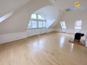 Pronájem bytu 2+1, Praha - Podolí, Nad spádem, 82 m2