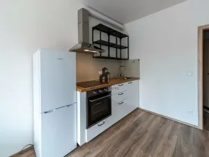 Prodej bytu 1+kk, Libčice nad Vltavou, Pod Hliníkem, 33 m2