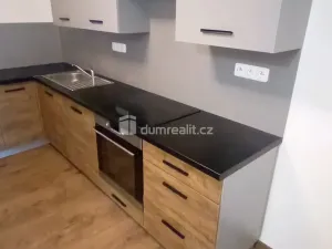 Pronájem bytu 2+kk, Ústí nad Labem - Ústí nad Labem-centrum, Elišky Krásnohorské, 65 m2