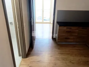 Pronájem bytu 2+kk, Ústí nad Labem - Ústí nad Labem-centrum, Elišky Krásnohorské, 65 m2