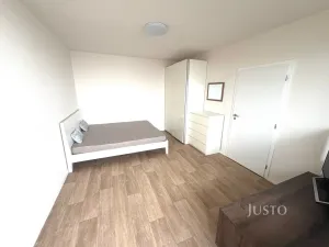 Pronájem bytu 1+1, Písek, nábřeží 1. máje, 36 m2