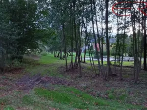 Prodej pozemku pro bydlení, Běleč, 945 m2