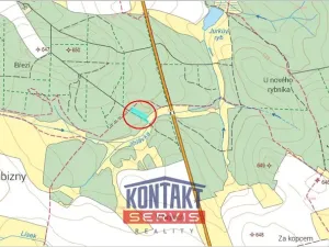 Prodej lesa, Dlouhá Brtnice, 5000 m2