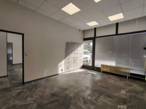 Pronájem skladu, Brno, Hudcova, 200 m2