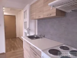 Pronájem bytu 1+kk, Krnov - Pod Bezručovým vrchem, Albrechtická, 36 m2