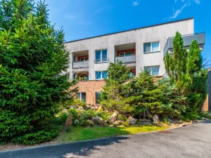 Pronájem bytu 2+kk, České Budějovice - České Budějovice 2, Krčínova, 71 m2