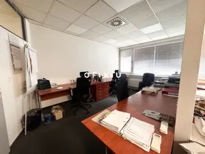 Pronájem kanceláře, Brno, Orlí, 66 m2