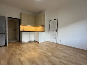 Pronájem bytu 2+kk, Praha - Nusle, Děkanská vinice I, 43 m2