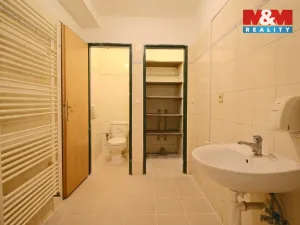 Pronájem bytu 1+1, Dolany, 37 m2