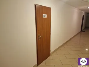 Prodej bytu 1+kk, Praha, Plzeňská, 35 m2