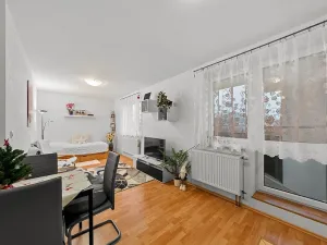 Prodej bytu 1+kk, Drásov, Hradčanská, 39 m2