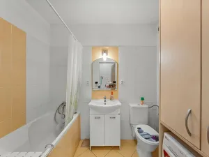 Prodej bytu 1+kk, Drásov, Hradčanská, 39 m2