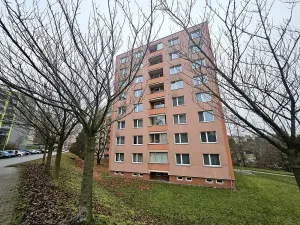 Pronájem bytu 1+kk, Brno, Opálkova, 28 m2