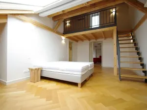 Pronájem atypického bytu, Praha - Nové Město, Bolzanova, 199 m2