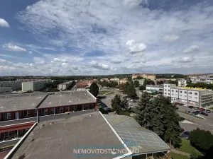 Pronájem bytu 1+kk, Znojmo, Holandská, 20 m2