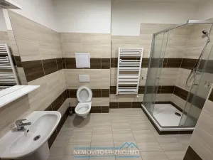 Pronájem bytu 1+kk, Znojmo, Holandská, 20 m2