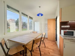 Pronájem bytu 3+1, České Budějovice - České Budějovice 2, J. Opletala, 65 m2