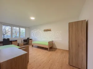 Pronájem bytu 3+1, České Budějovice - České Budějovice 2, J. Opletala, 65 m2