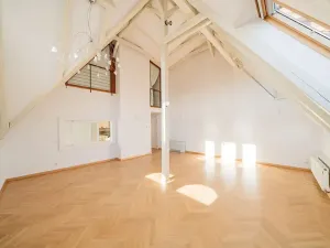 Pronájem bytu 5+1, Praha - Malá Strana, Újezd, 286 m2