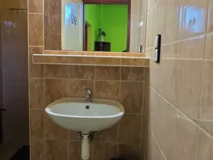 Prodej ubytování, Ostrava, Šamanova, 173 m2