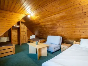 Prodej rodinného domu, Strážné, 450 m2