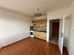 Pronájem bytu 1+1, Děčín, Litoměřická, 34 m2