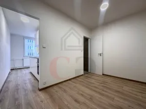 Pronájem bytu 1+1, Třemošná, Luční, 40 m2