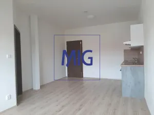 Pronájem bytu 2+kk, Syrovice, 64 m2